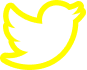 twitter-icon